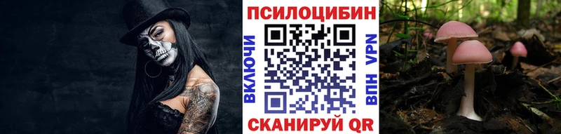 omg   как найти закладки  Новый Уренгой  Псилоцибиновые грибы мицелий 